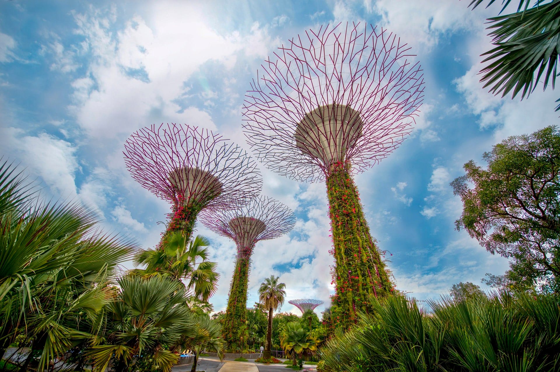 Gardens By The Bay Singapore Banner for things to know section of the unbound